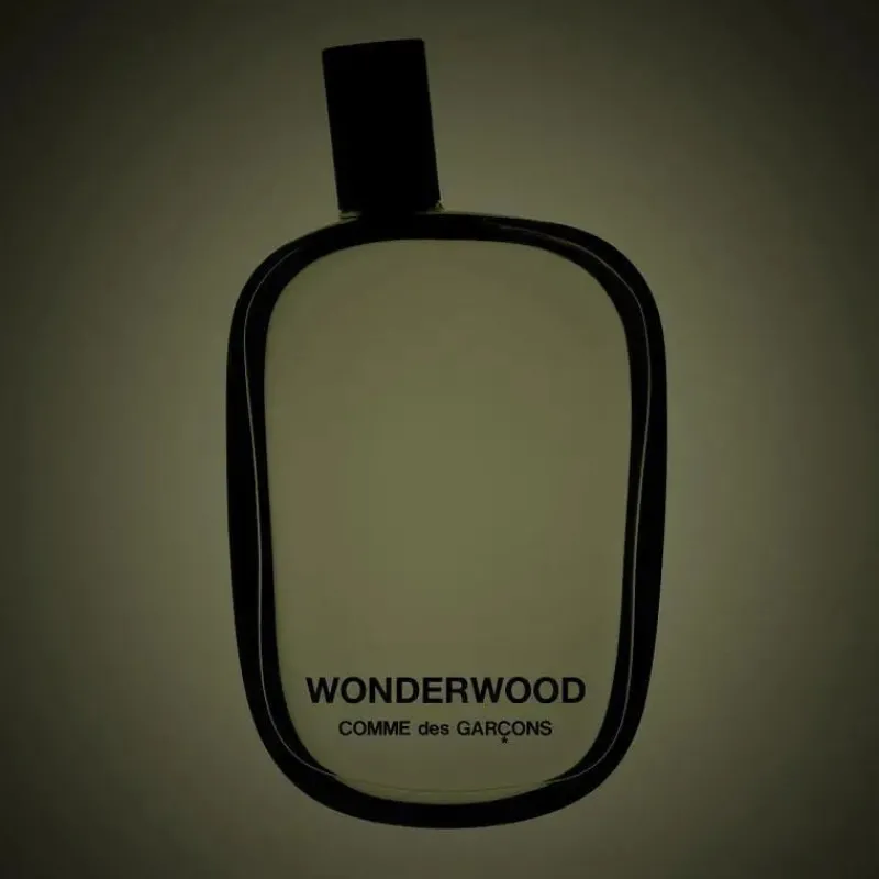 Comme des Garcons Wonderwood - Alla Violetta Boutique
