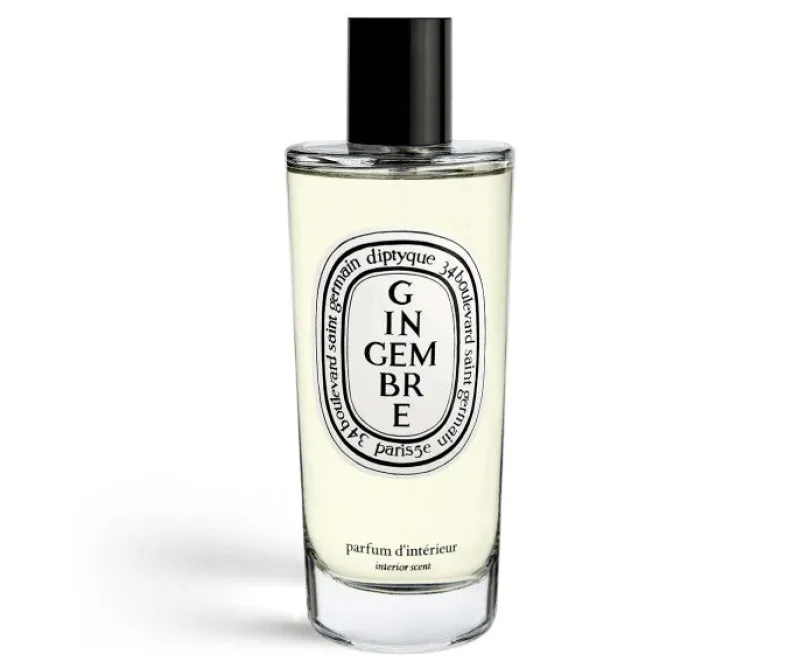 DIPTYQUE Gingembre Parfum d' Interieur 150 ml - Alla Violetta Boutique Clearance