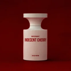 BORN TO STAND OUT Indicent Cherry Clearance