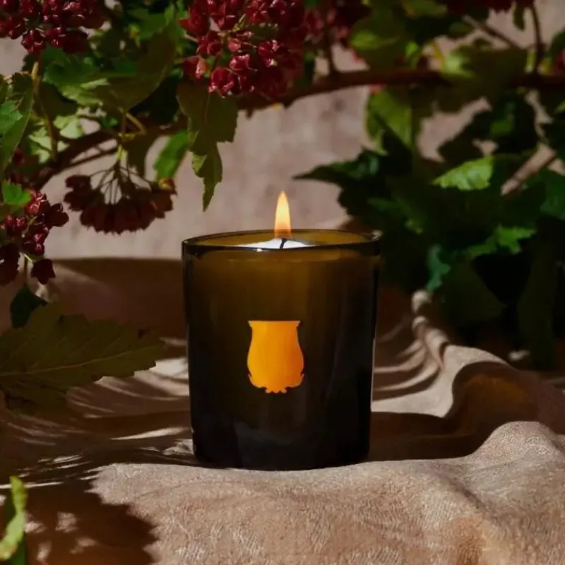 TRUDON Odalisque Candela - Candela - - Official Retailer Online