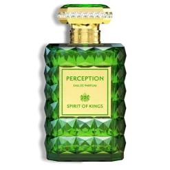 SPIRIT OF KINGS Perception Online
