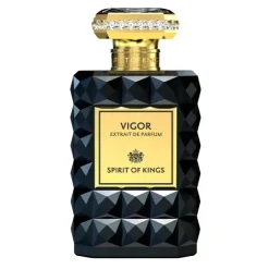 SPIRIT OF KINGS Vigor Online
